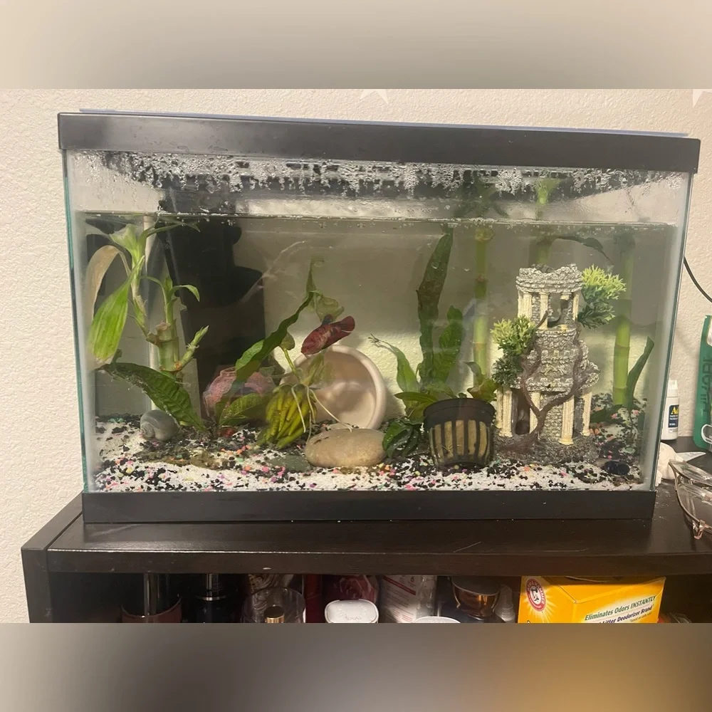 Fish tank